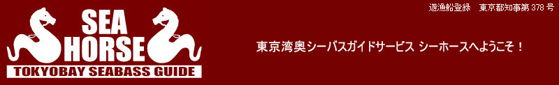 �����p�V�[�o�X�t���C�K�C�h�D�V�[�z�[�X